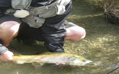 Andrew, bundled against the blazing sun, releases a big brown trout.