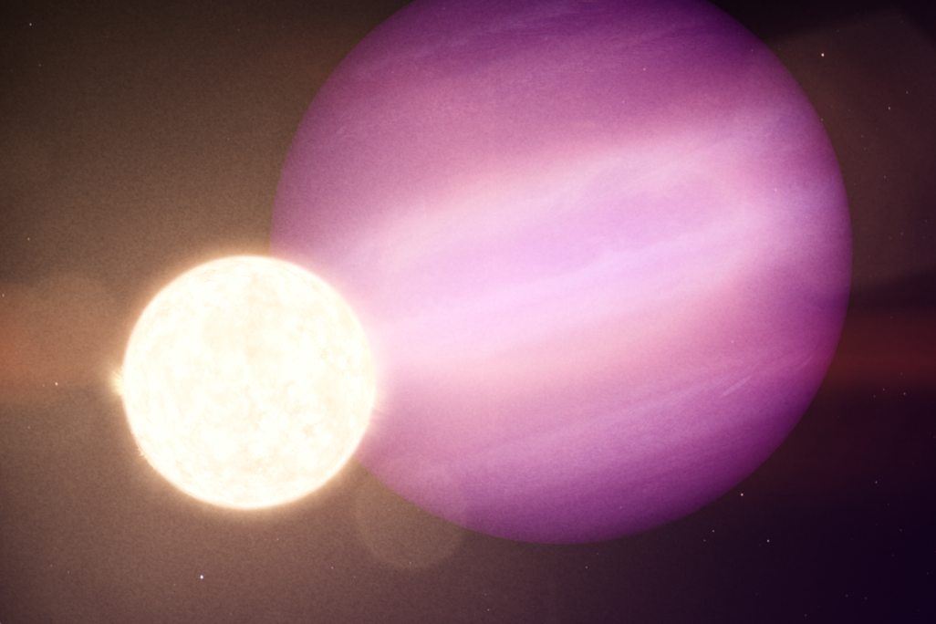 An illustration of a giant purple planet with pale stripes behind a small white star, a glowing ball of hot gas that appears in this illustration to be about 1/7 of the planet's size
