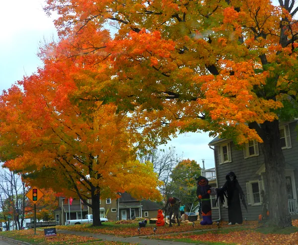 A Yard decorated for Halloween thumbnail