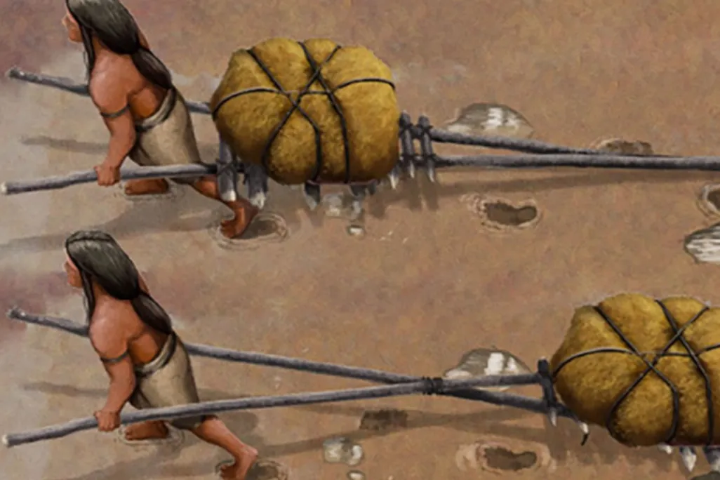 Illustration of humans using a primitive transport vehicle made of wood sticks