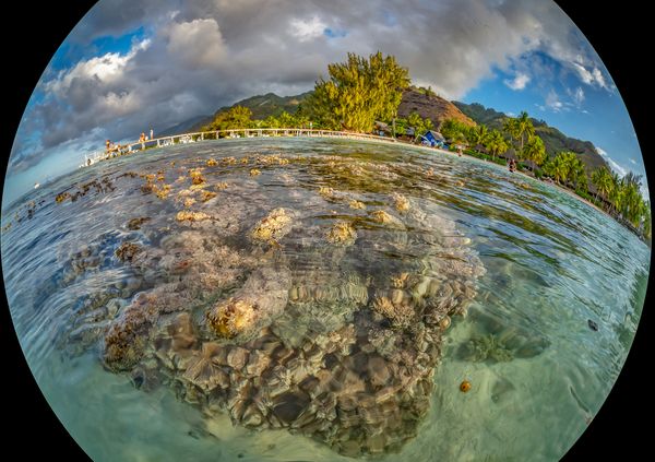 A view of a pier on Moorea island in French Polynesia, taken as an over/under photo. thumbnail