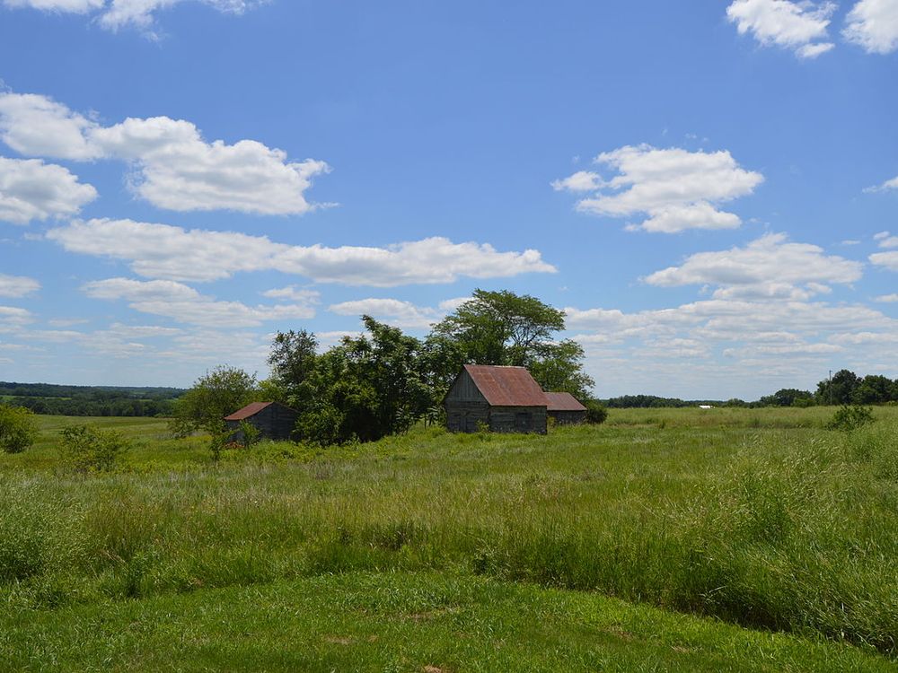 Overview of the former village of New Philadelphia, Illinois