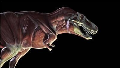 20110520083157tyrannosaurus-clash-dinosaurs.jpg