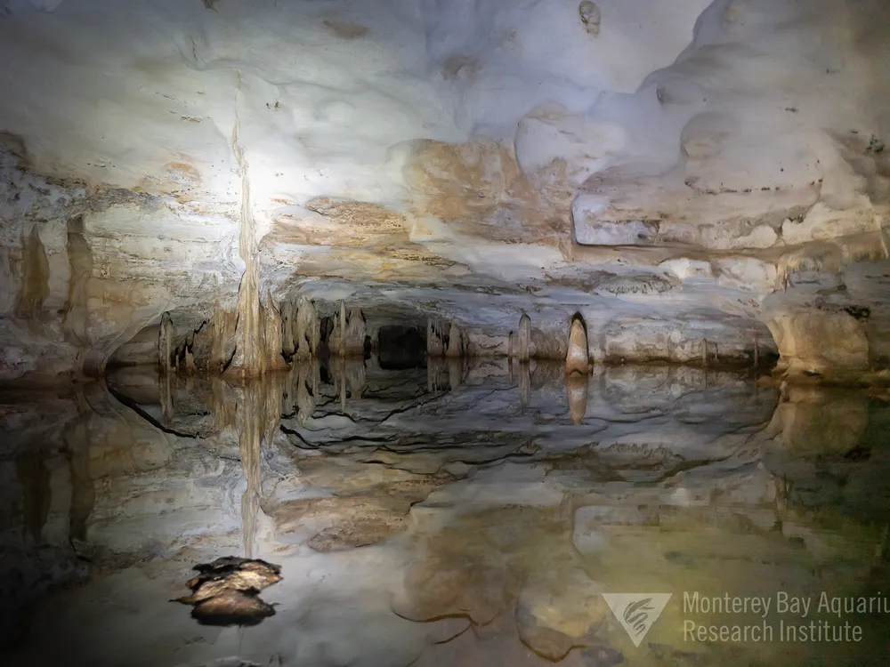 Staring into the mouth of flooded cave passages on the islands of the Turks and Caicos. Hidden cave pools are illuminated by dive lights and photo flash. (Joost Daniels, Monterey Bay Aquarium Research Institute)