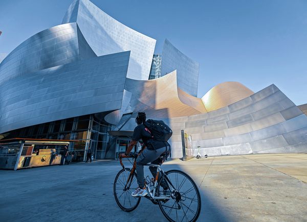 Flowing Form, Living Shadow thumbnail