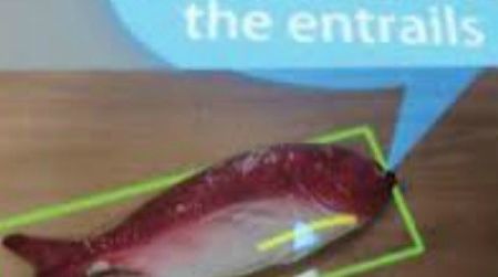 Kitchen tech teaches chefs to cut along a virtual line.