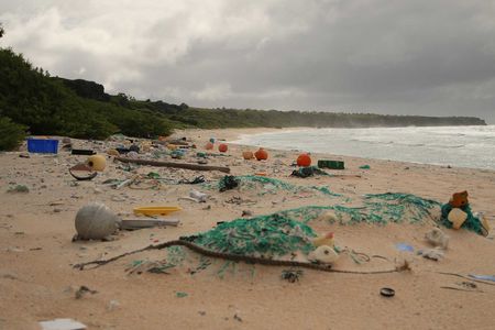 Plastic debris covers much of the sand on Henderson Island.