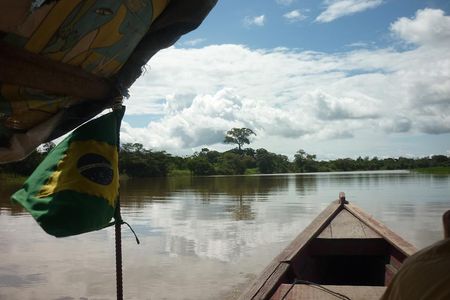 “It's hard to imagine," says Smithsonian scientist Carlos Jaramillo,"that you could have the Caribbean ocean in the west Amazon."