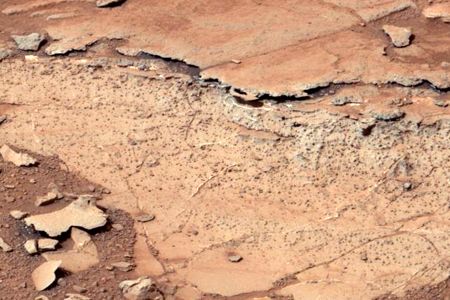 The Sheepbed Mudstone on Mars. Low salinity, tolerable acidity and other traits would have made this ancient lake hospitable to life