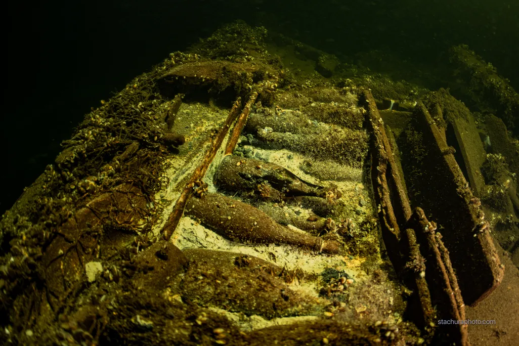 Underwater view of bottles on a shipwreck