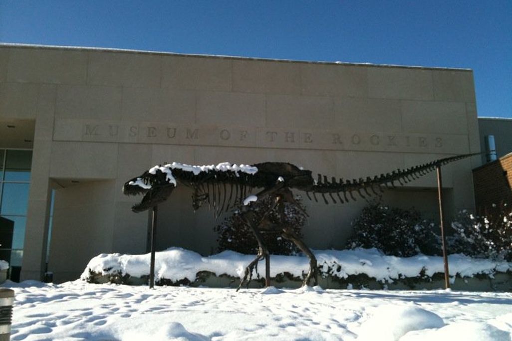 20110520083251tyrannosaurus-in-snow.jpg