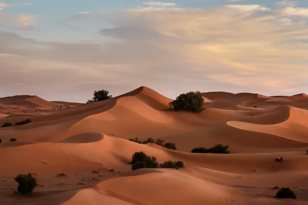 Late Afternoon sun in the Moroccan Desert thumbnail