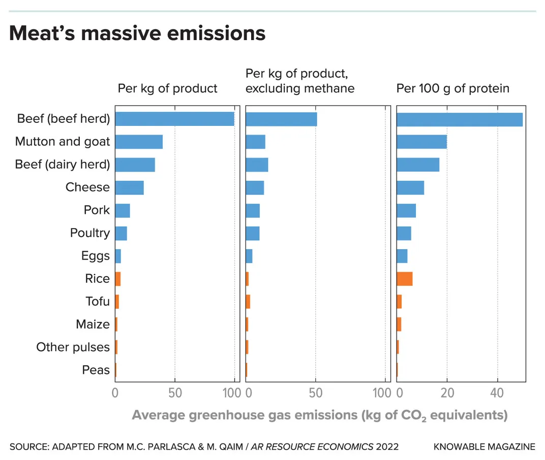 Massive Emissions From Meat Graphic