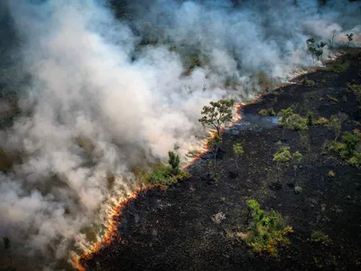 Fires burn in the Amazon rainforest in northern Brazil on August 31, 2022.&nbsp;