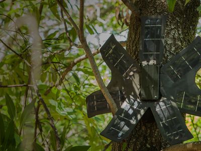 This hardware innovation will make it easier for conservationists to identify where illegal deforestation efforts are happening and stop them before the trees have been taken down.