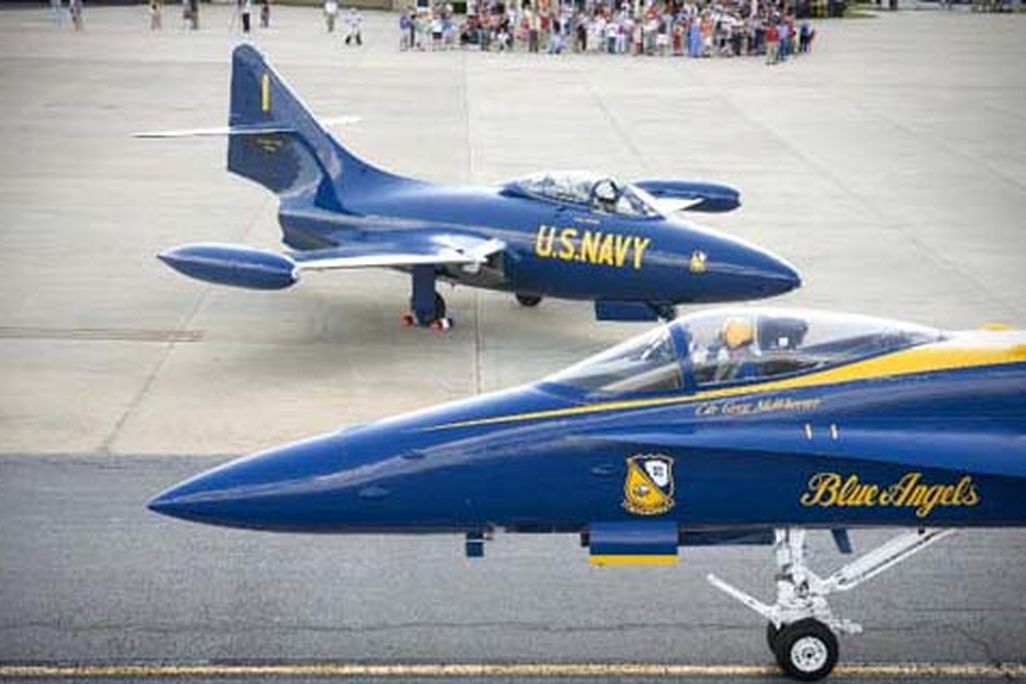 Panther Hornet-505b.jpg