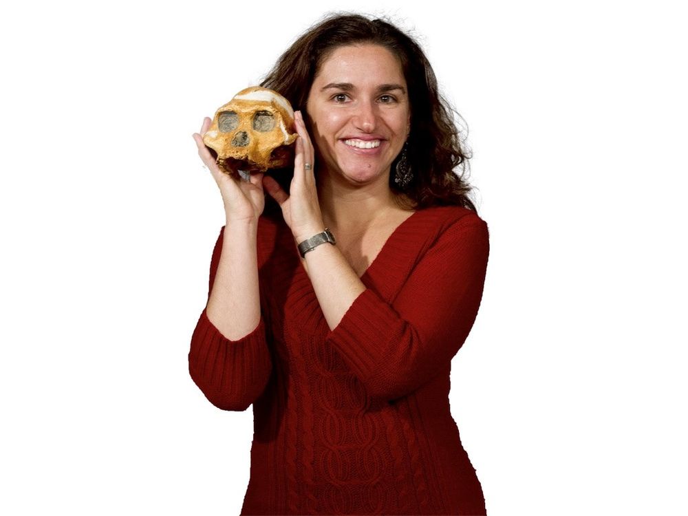 Headshot of paleoanthropologist Brianna Bubener in a red jacket with an early human skull holding text on her face on a white background.