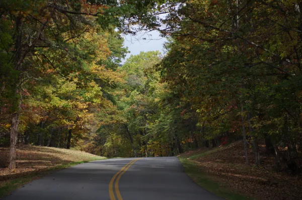 nice  fall day for a drive thumbnail