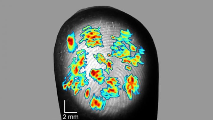 Scientists Map The Parts Of The Body Where Touching Is Okay