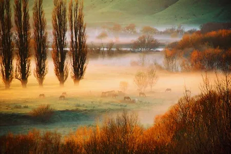 Joelle Linhoff, winner of our 4th Annual Photo Contest, spent three days on a hill overlooking a New Zealand pasture before she snapped the photo that would net her the grand prize. “I just took as many photos as I could,” she says, “using as much film as I had brought. I allotted one whole roll of film to the pasture.” 