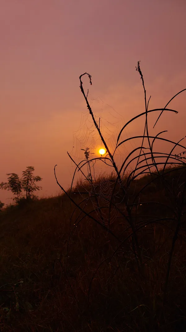 Rising Sun in the Centre of a Spider's Penthouse thumbnail