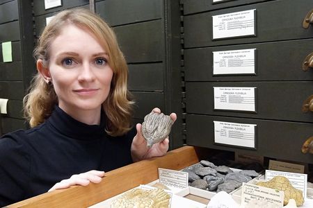 Cole had been using fossils in the National Museum of Natural History’s Springer collections for her research long before joining the museum as a curator. (Selina Cole, Smithsonian)