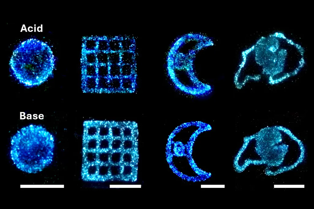 Blue shapes in two rows: circle, grid, crescent moon, CU Boulder buffalo logo