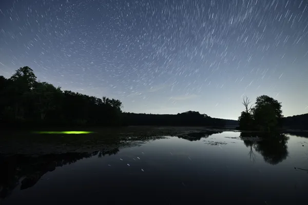 Star Trails and Fireflies thumbnail