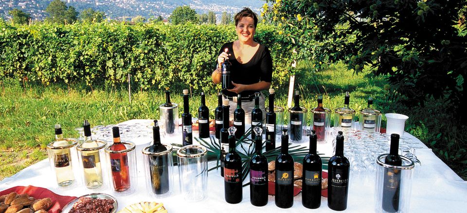  Wine tasting in Italy 