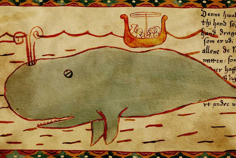 Illustration of Whale