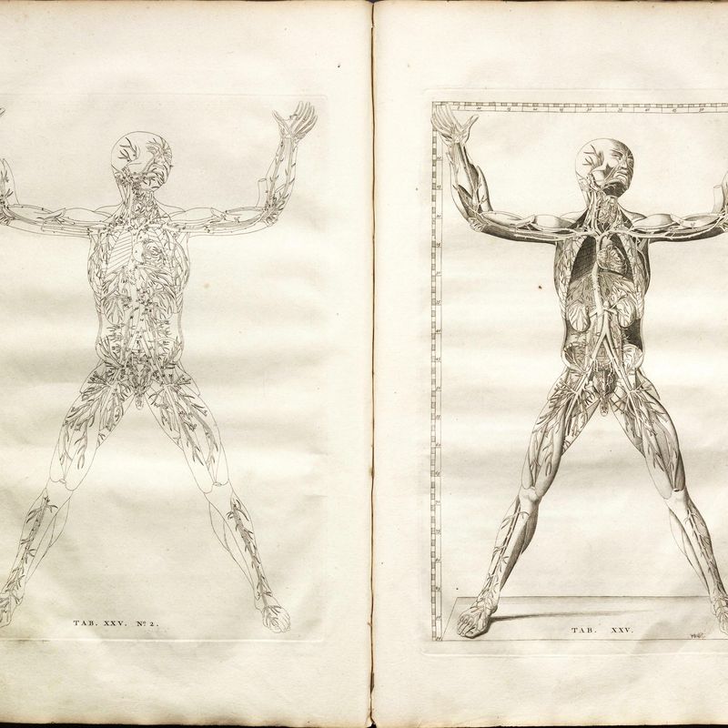 The Grisly Details of Early Anatomy Textbooks | At the Smithsonian 