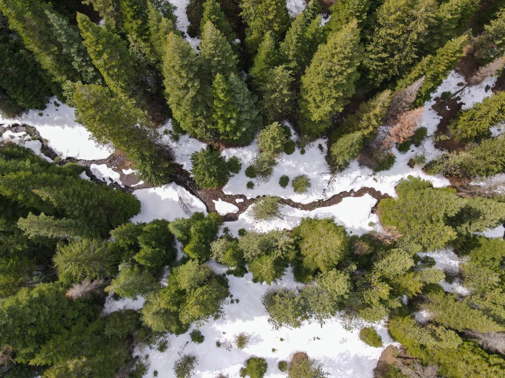 Hiking through the hills of Eastern Oregon looking for beauty.