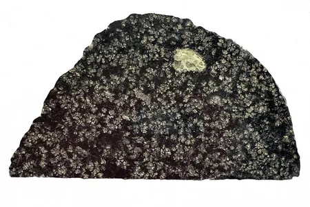 A slice of the rare angrite meteorite&nbsp;NWA 12774 shows olivine crystal (green), a mineral rich in magnesium.