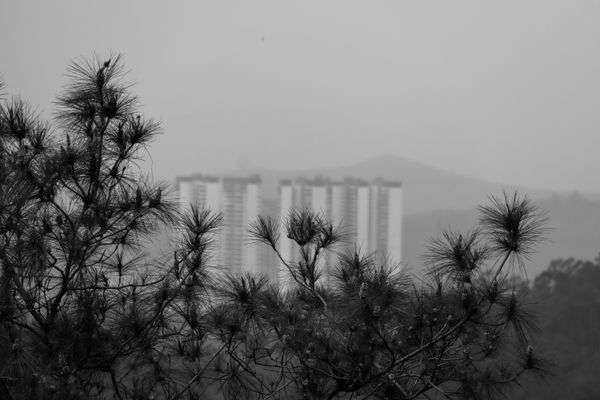 The Disappearing View thumbnail