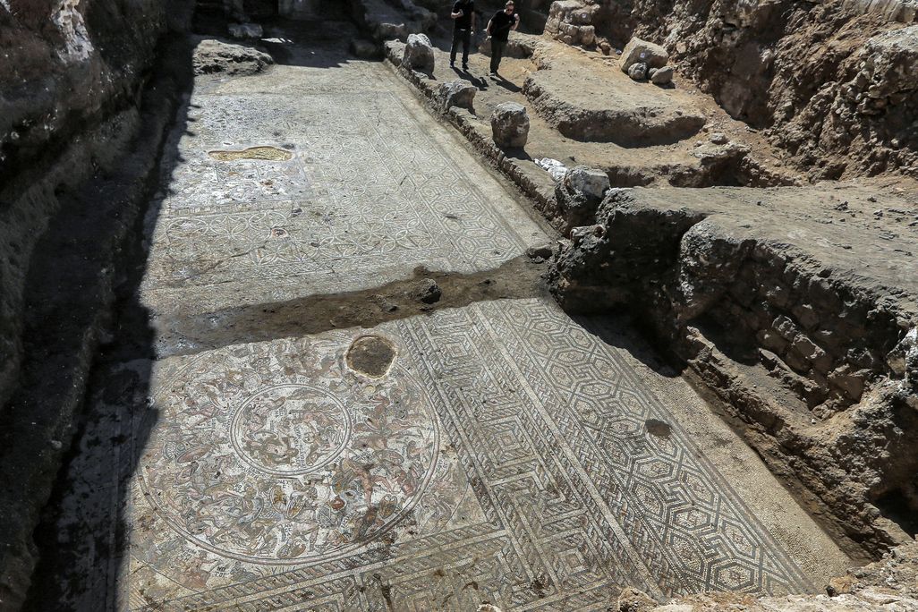 View of mosaic