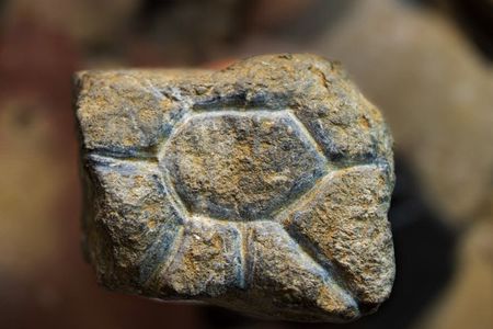 A roughly 20,000-year-old engraved, pocket-sized rock that may depict a sun, eye or flower