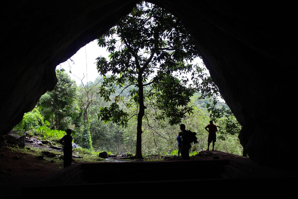 Rainforest Cave