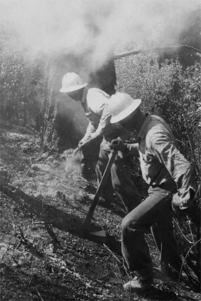 Prisoners set backfires, early 1950s