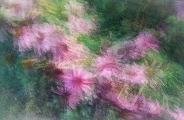 Move over Monet.............flowers thumbnail