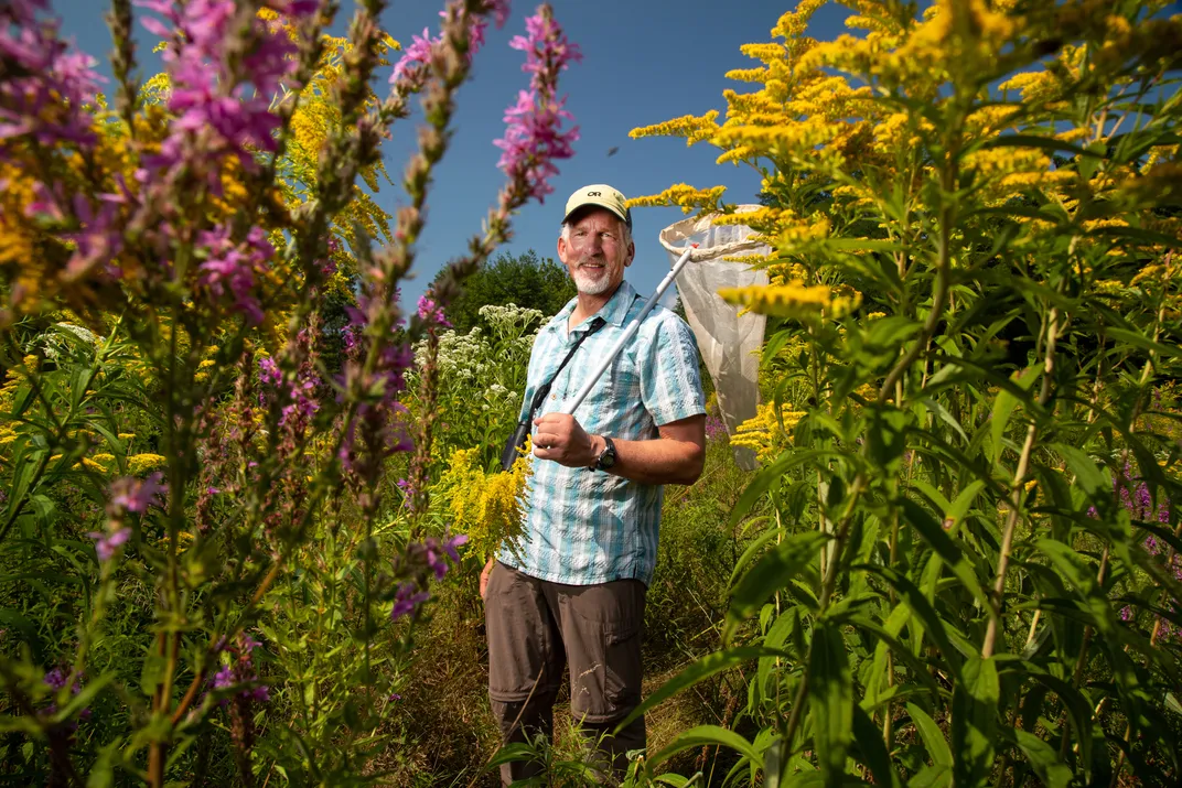 Veit surveys for bees at the nearby Seminatore Woods Pollinator Meadow, which he spent seven years restoring.
