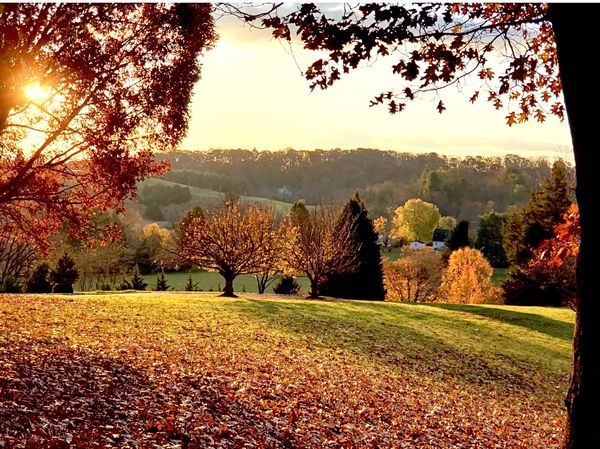 Morning Wakes the Pasture thumbnail