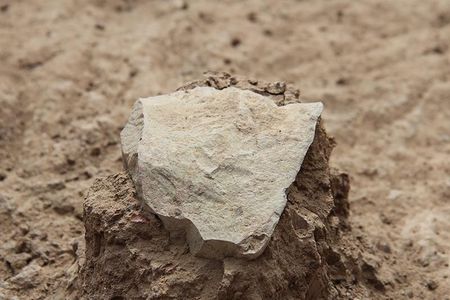 At 3.3 million years old, tools unearthed at the Lomekwi 3 excavation site in Kenya, like the one pictured above, represent the oldest known evidence of stone tools, researchers suggest. 