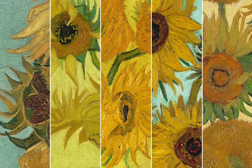 Sunflowers 360