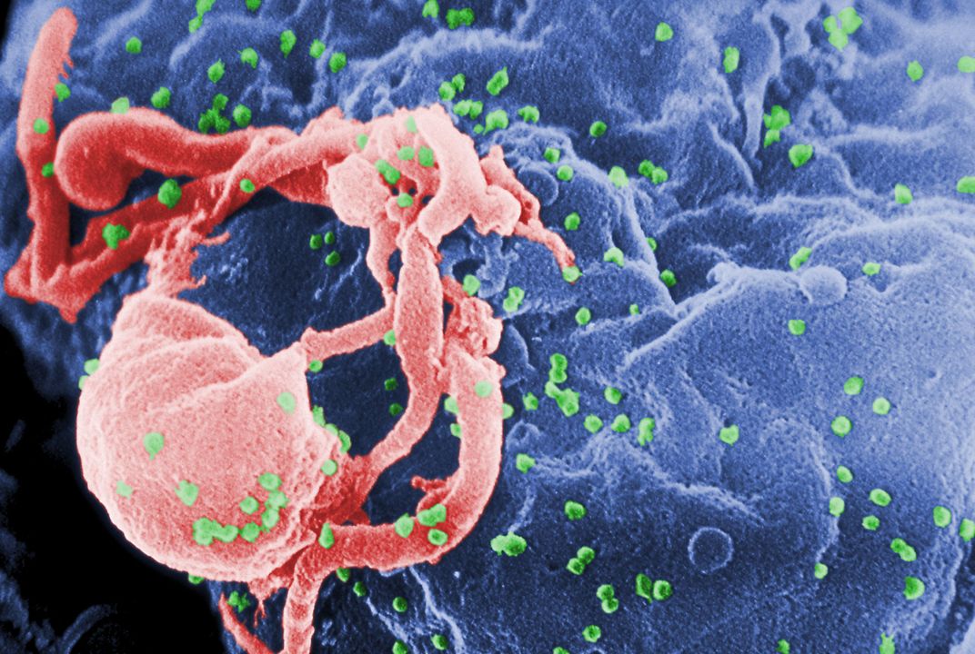 Scientists Identify Factors That Make People Naturally ...