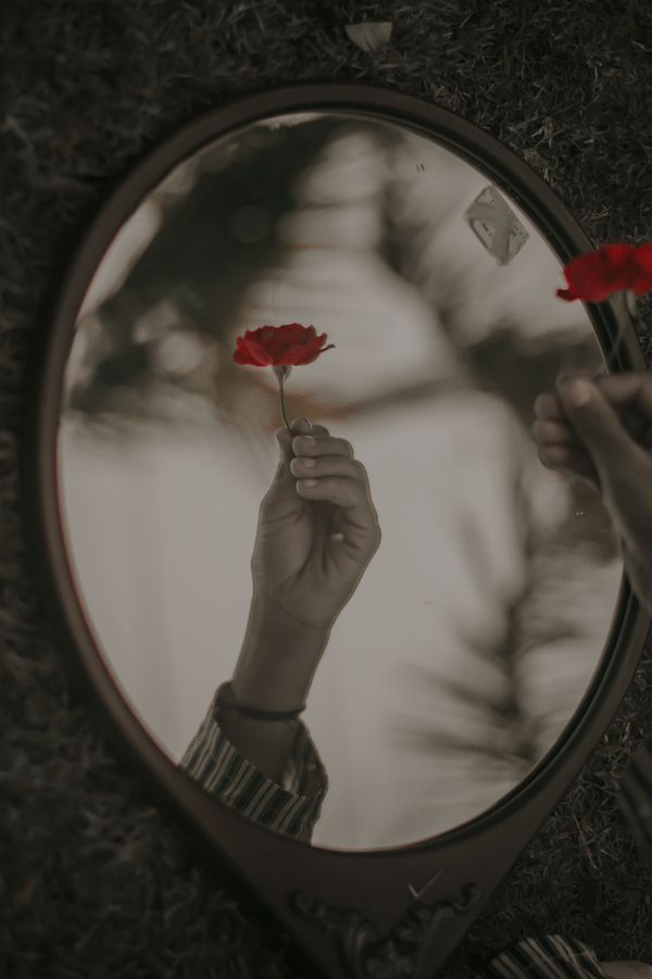 A hand offering flower in mirror. thumbnail