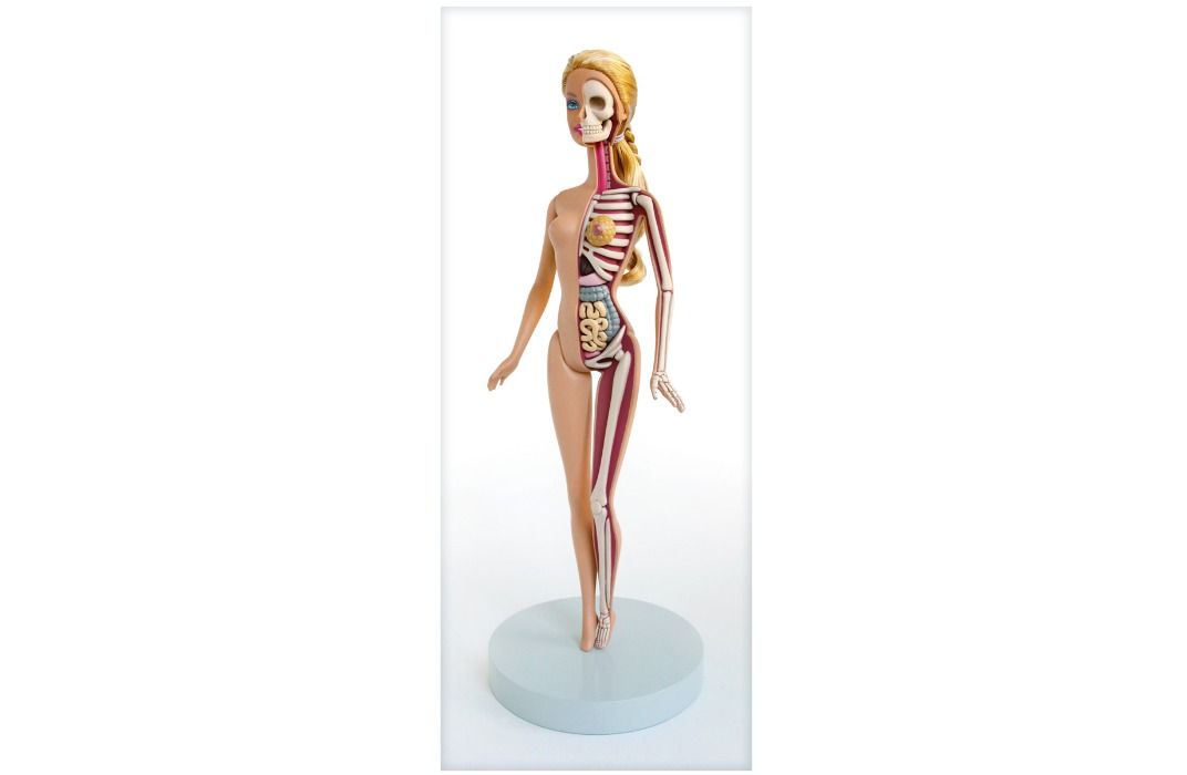 See the Inner Anatomy of Barbie, Mario and Mickey Mouse—Bones, Guts and All
