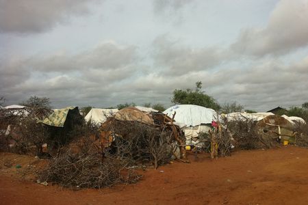 Permanent structures are not allowed in Dabaab, the world's largest refugee camp. 