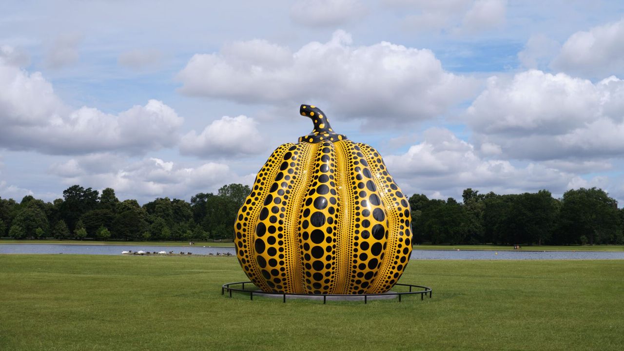 20240708_serp-kusama_005-