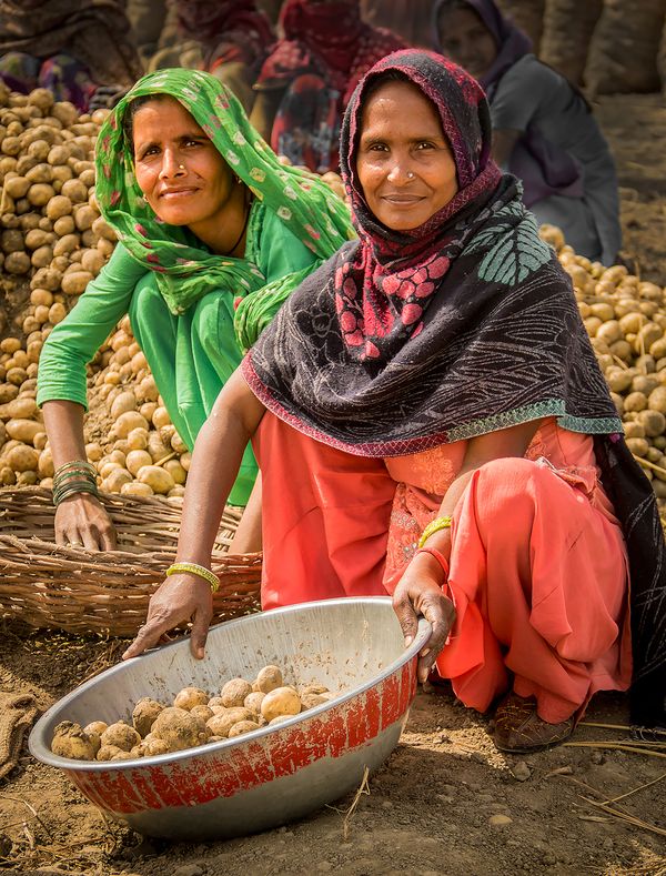 Mother and Daughter Harvesting Potatoes thumbnail