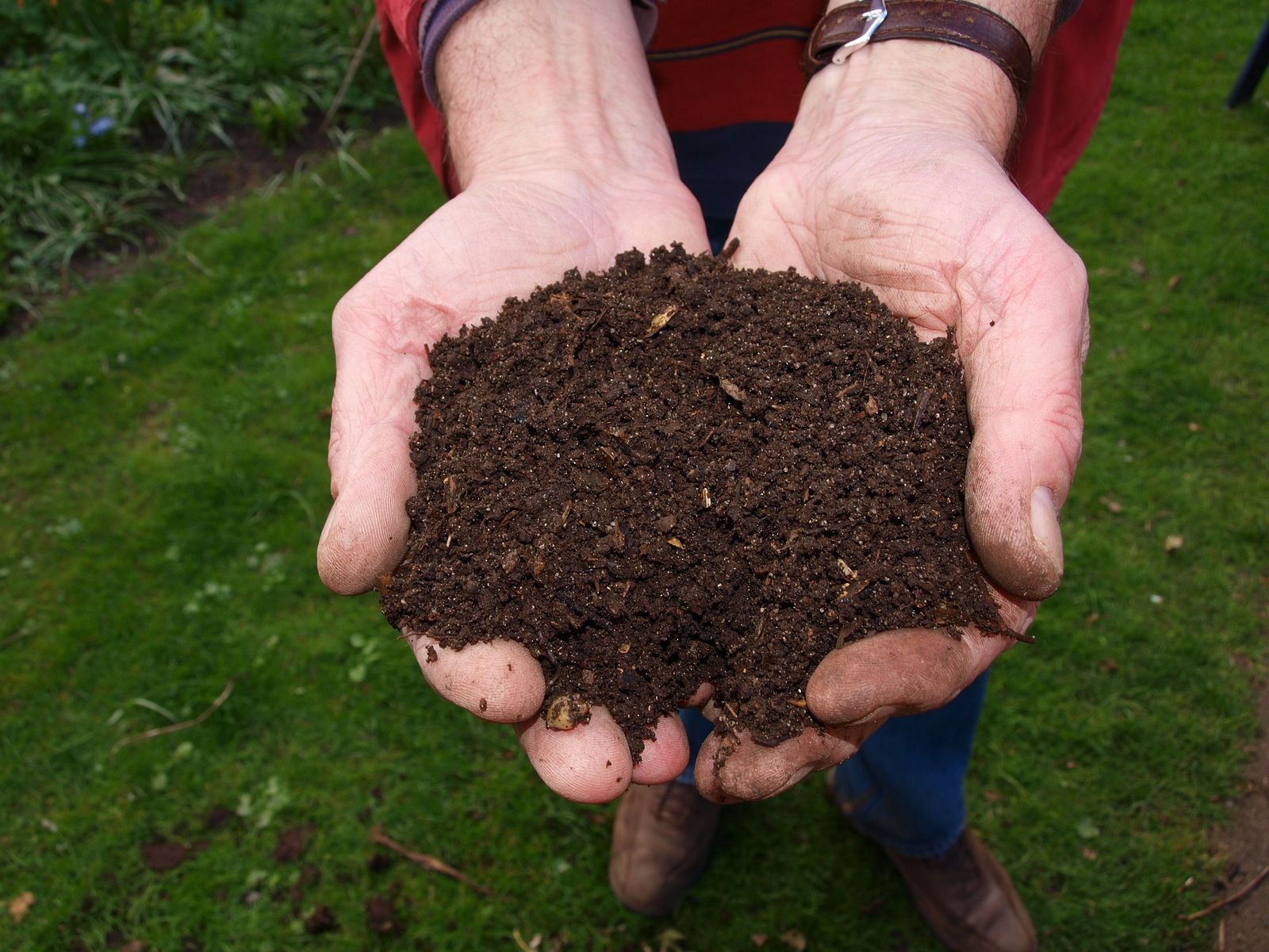 Composting Series Part 2: How to Compost